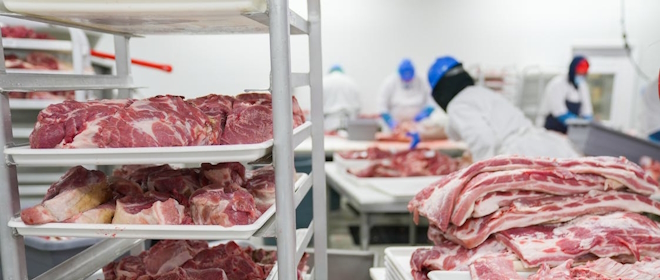 Le pulizie professionali nell’industria alimentare