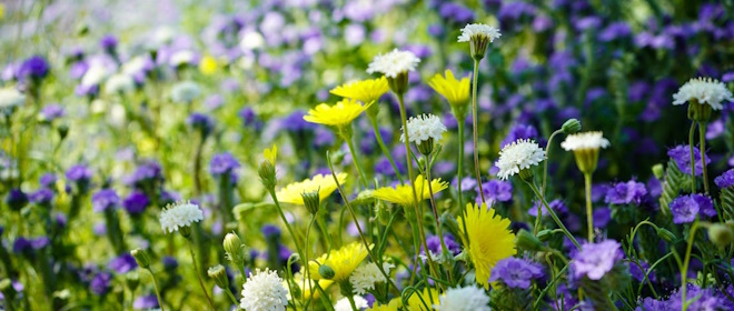 Pulire casa contro la pollinosi